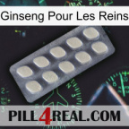 Ginseng For Kidney 08